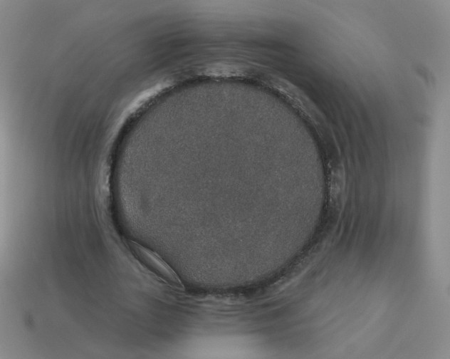X0000113550727200910161433