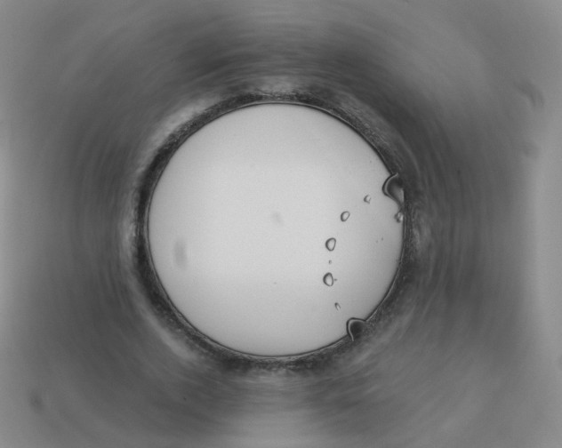 X0000113550728200910161433