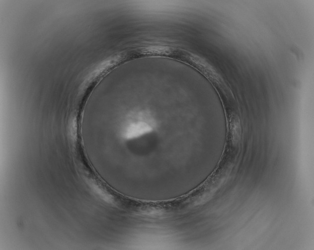 X0000113550729200910161433