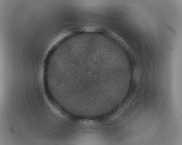 X0000113550730200910161433