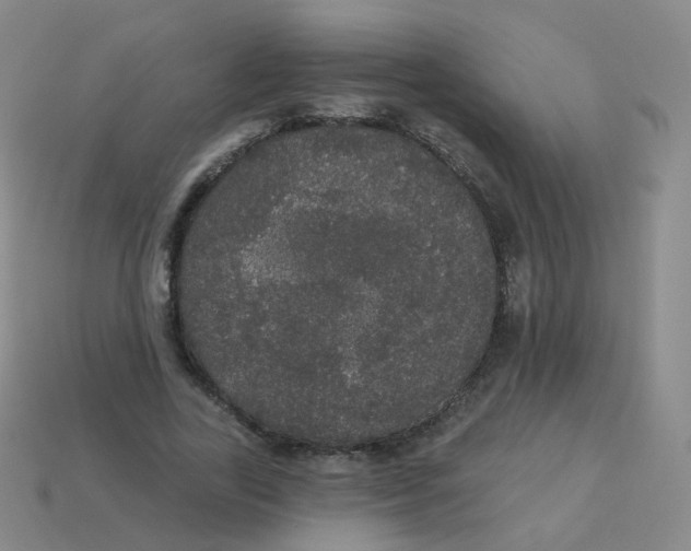 X0000113550731200910161433
