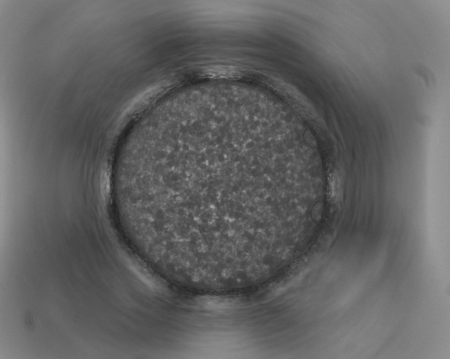 X0000113550733200910161433
