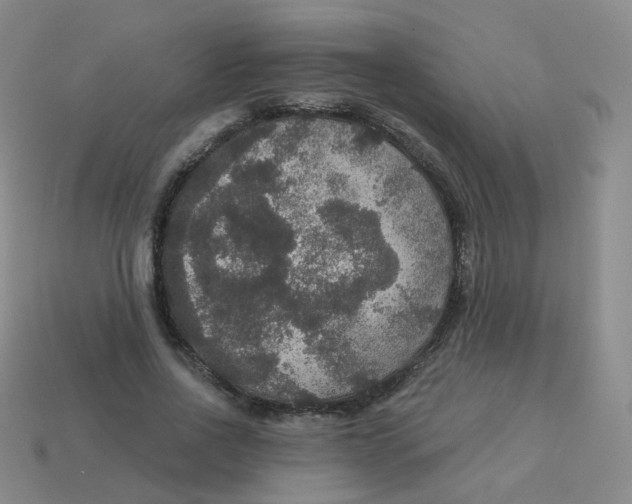 X0000113550734200910161433
