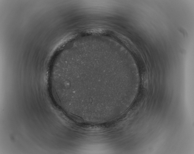 X0000113550735200910161433