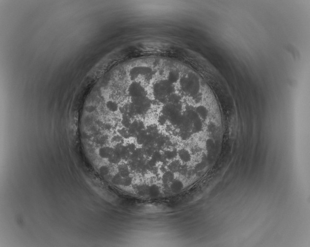 X0000113550737200910161433