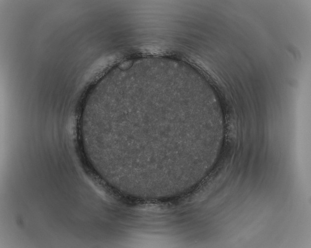 X0000113550738200910161433
