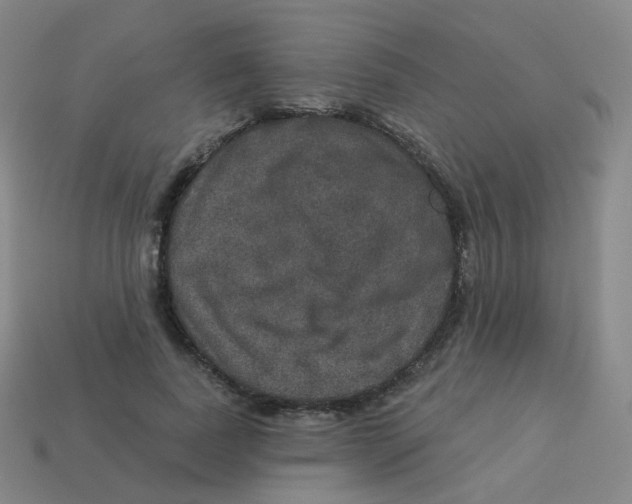 X0000113550739200910161433