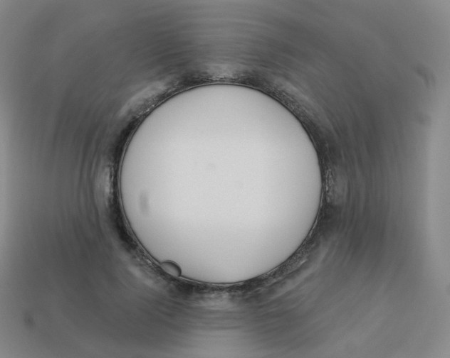 X0000113550740200910161433