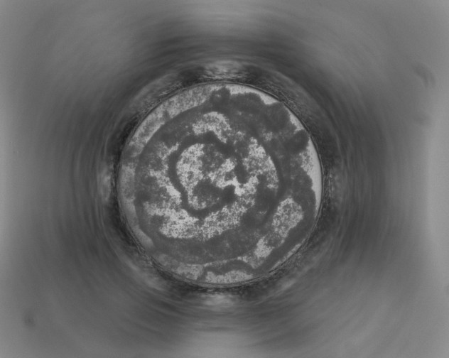 X0000113550741200910161433