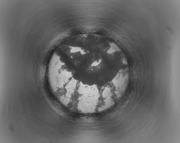 X0000113550742200910161433
