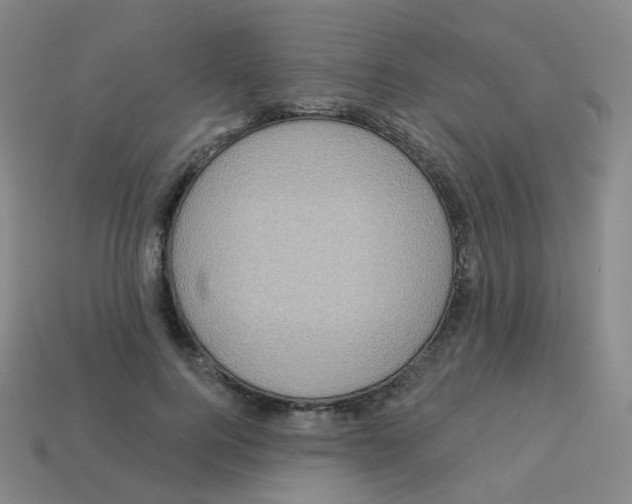 X0000113550744200910161433