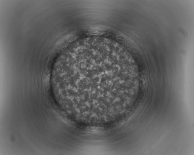 X0000113550745200910161433