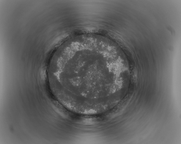 X0000113550746200910161433