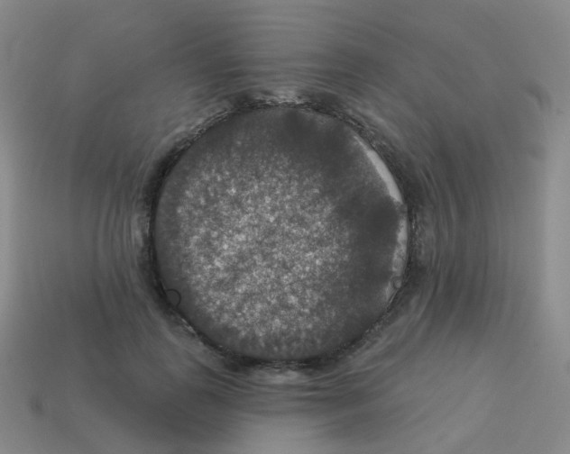 X0000113550747200910161433