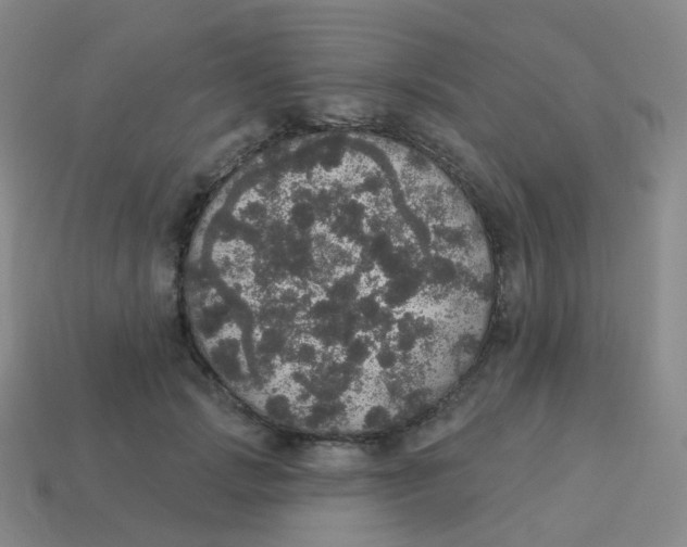 X0000113550749200910161433