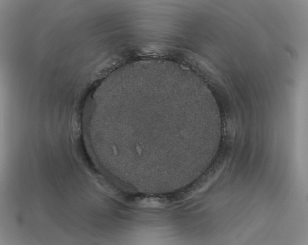 X0000113550751200910161433