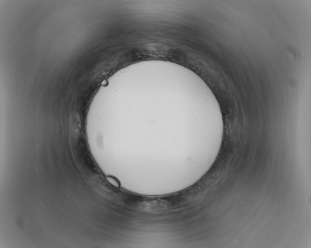 X0000113550752200910161433