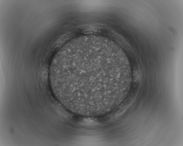 X0000113550753200910161433
