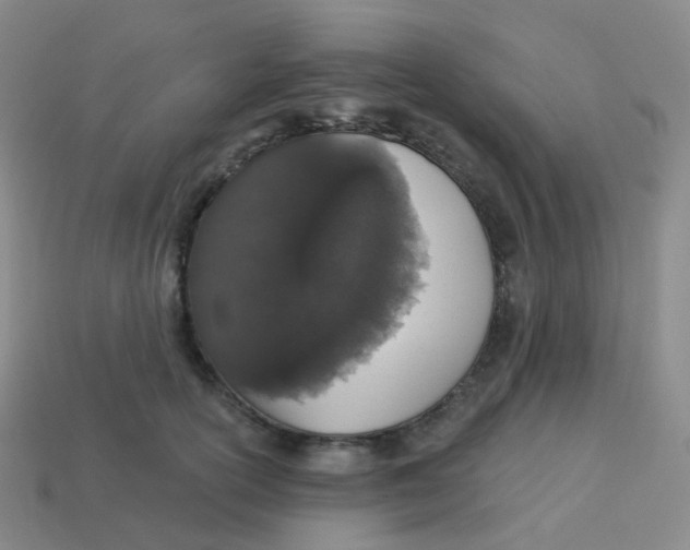 X0000113550754200910161433