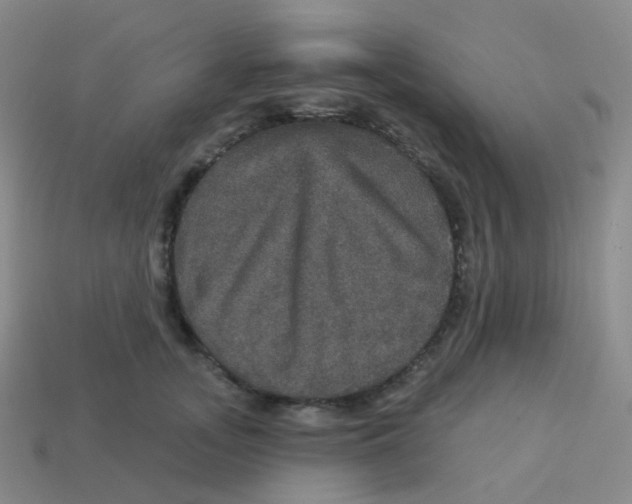 X0000113550755200910161433