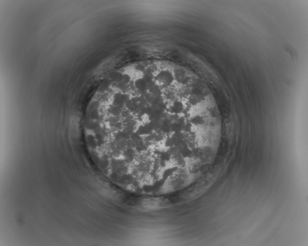 X0000113550757200910161433