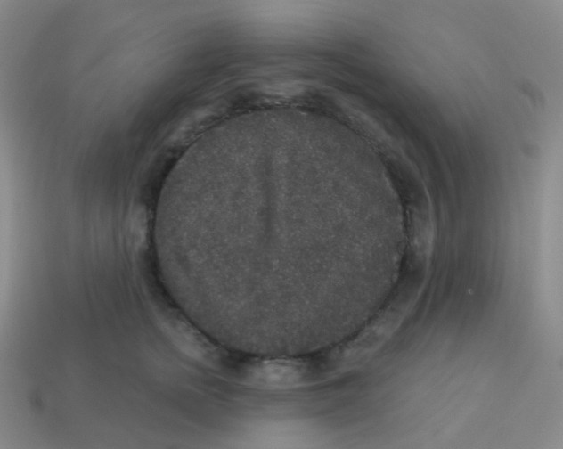 X0000113550758200910161433