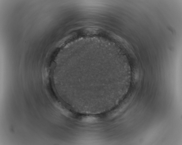 X0000113550759200910161433