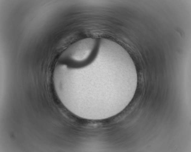 X0000113550760200910161434