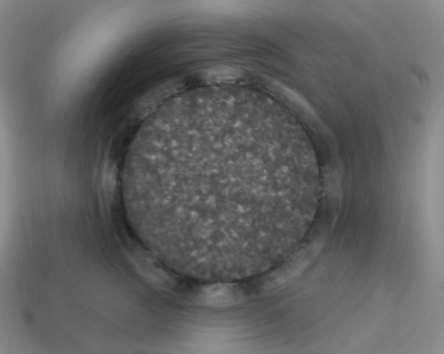 X0000113550761200910161434