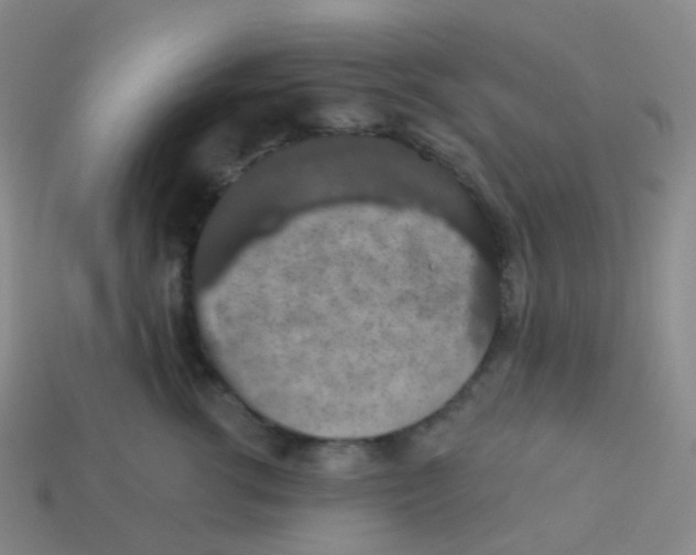 X0000113550762200910161434