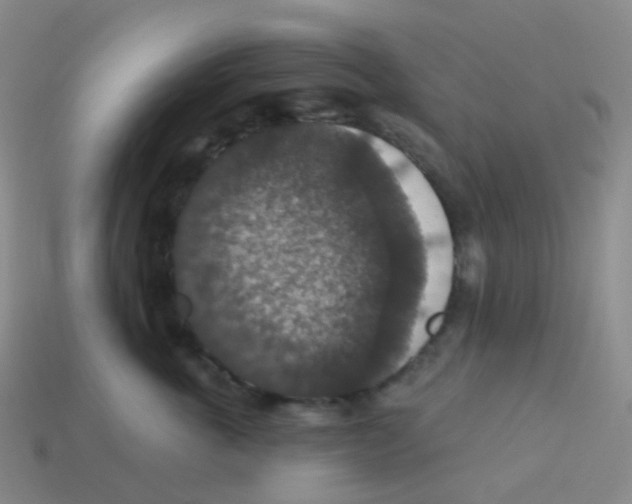 X0000113550763200910161434