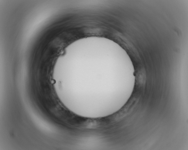 X0000113550764200910161434