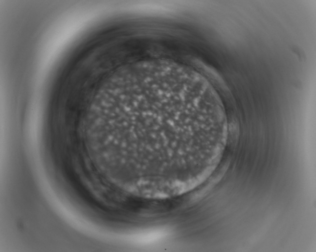 X0000113550765200910161434