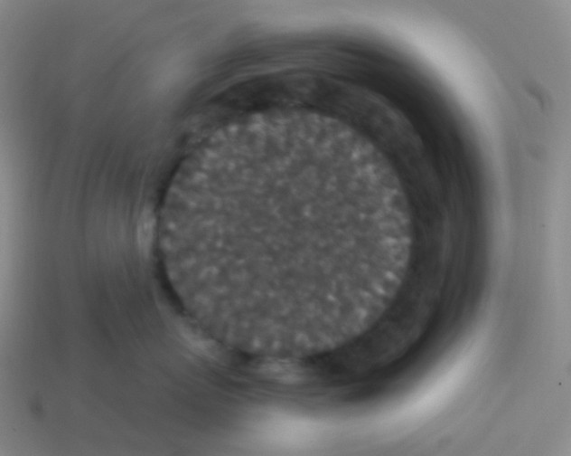 X0000113550767200910161434
