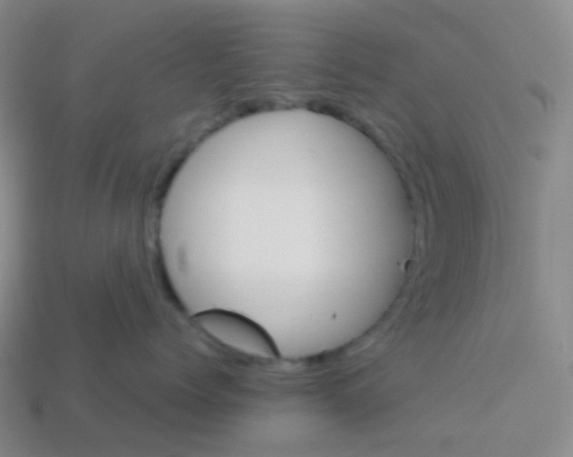 X0000113550768200910161434