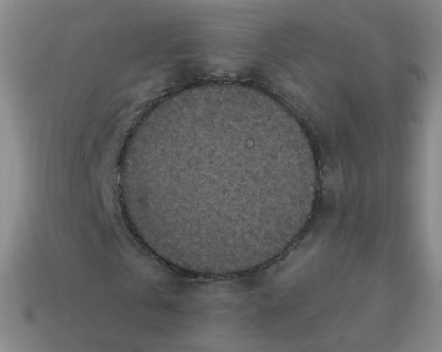 X0000113550769200910161433