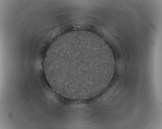 X0000113550770200910161433