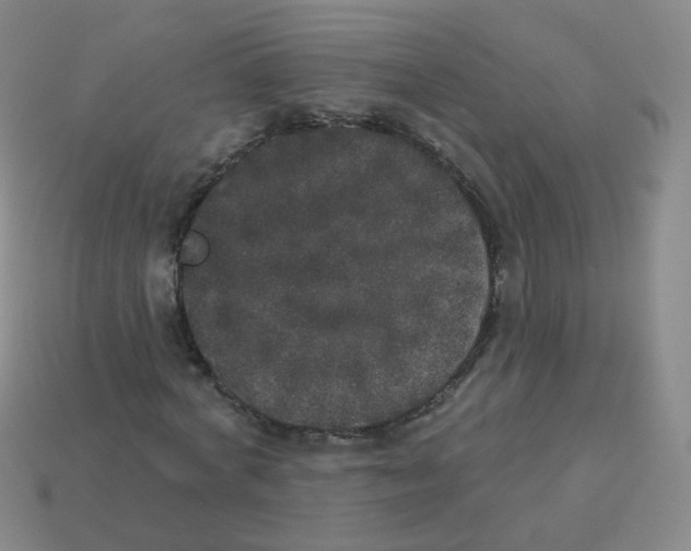 X0000113550772200910161433
