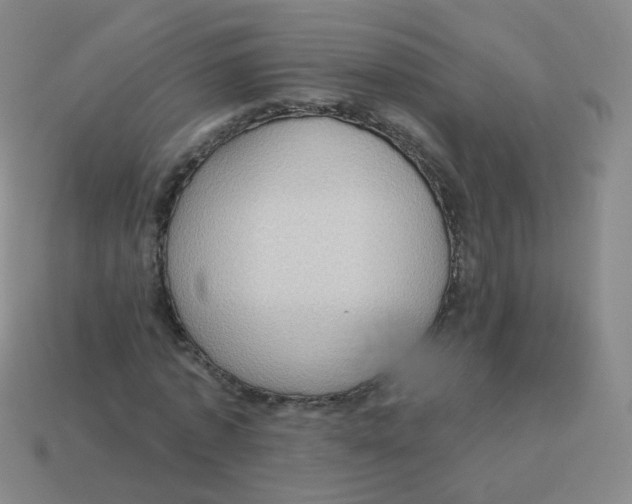X0000113550773200910161433