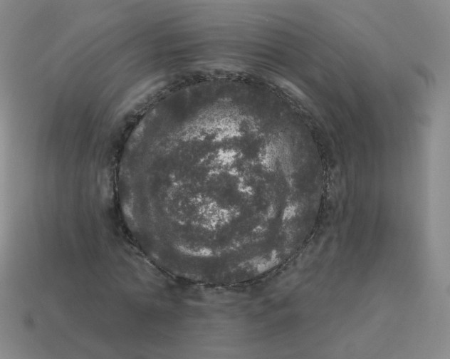 X0000113550774200910161433
