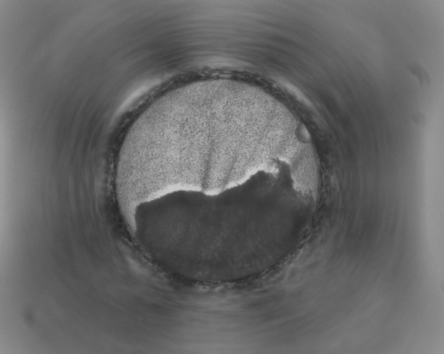 X0000113550775200910161433