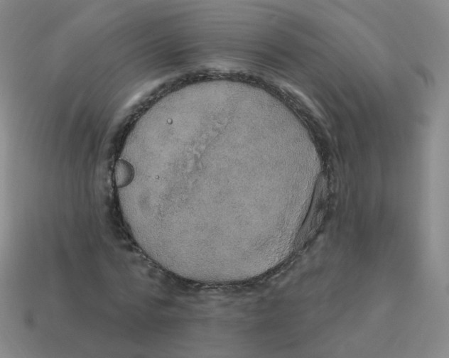 X0000113550776200910161433