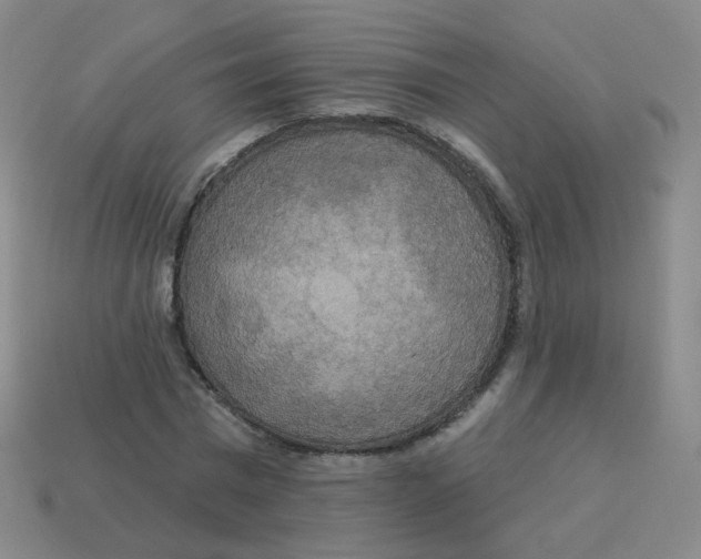 X0000113550777200910161433