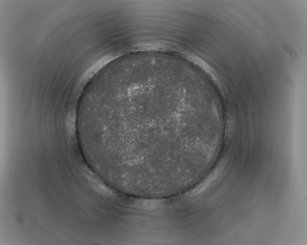 X0000113550778200910161433