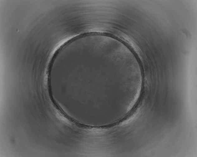 X0000113550779200910161433