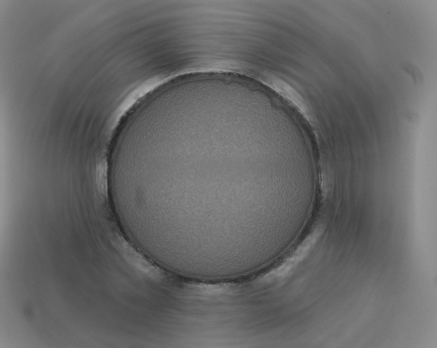 X0000113550781200910161433