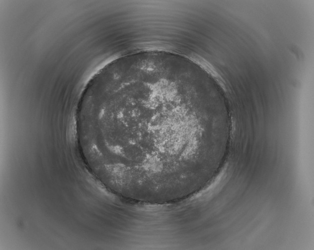 X0000113550782200910161433