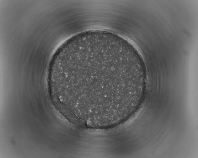 X0000113550783200910161433
