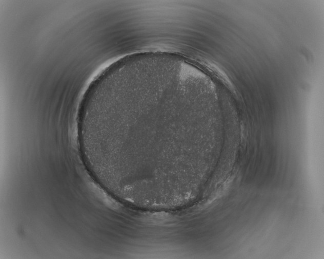 X0000113550784200910161433