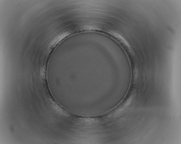 X0000113550785200910161433